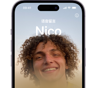 沂源苹果15服务站分享iPhone15实时语音留言开启方法 